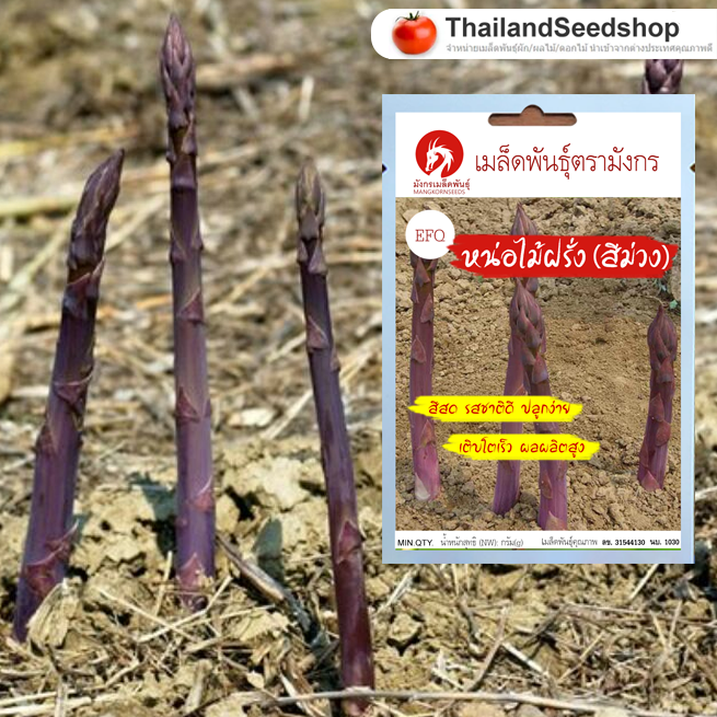 เมล็ดพันธุ์หน่อไม้ฝรั่งสีม่วง - Purple Passion Asparagus